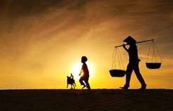 Giàu có mà tuổi già cô độc cũng như không Giàu có mà tuổi già cô độc cũng như không