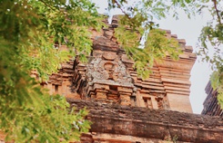 Phú Yên không chỉ có 'hoa vàng trên cỏ xanh'