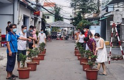 Cuộc thi chăm sóc cây trong xóm cách ly Cuộc thi chăm sóc cây trong xóm cách ly
