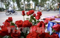 Một năm có... 3 ngày Valentine! Một năm có... 3 ngày Valentine!