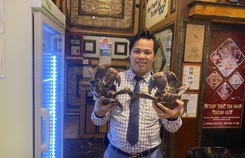 Cua dừa: 'quái vật' trên cây dừa nhưng là đặc sản hơn 9 triệu đồng một con