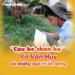 “Cậu bé chăn bò” Võ Văn Huy và những ngã rẽ ấn tượng
