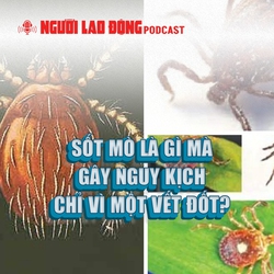 Sốt mò là gì mà gây nguy kịch chỉ vì một vết đốt?