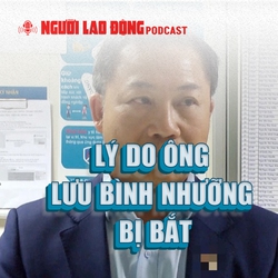 Lý do ông Lưu Bình Nhưỡng bị bắt