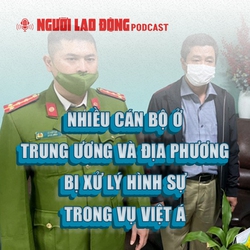 Nhiều cán bộ cấp trung ương bị xử lý hình sự trong vụ Việt Á