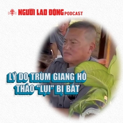 Lý do trùm giang hồ Thảo "lụi" bị bắt