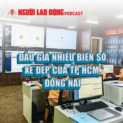 Đấu giá nhiều biển số xe đẹp của TP HCM, Đồng Nai