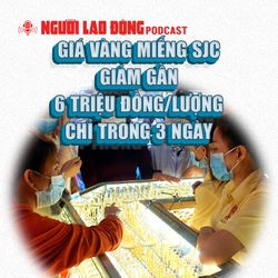 Giá vàng miếng SJC giảm gần 6 triệu đồng/lượng chỉ trong 3 ngày