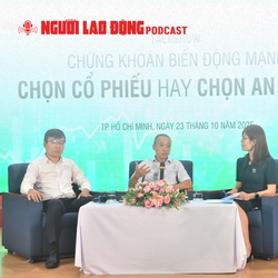 Chứng khoán "bốc hơi": Tiền nên đổ vào đâu?