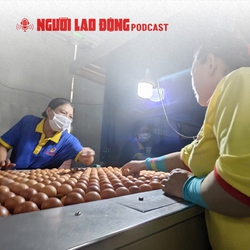 Công ty Ba Huân bị cưỡng chế ngừng thủ tục hải quan, vì sao?