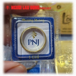 Phản hồi chính thức từ PNJ sau kết luận thanh tra của Ngân hàng Nhà nước