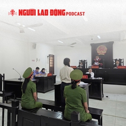 Vụ án liên quan bà Nguyễn Phương Hằng: Vì sao YouTuber Đinh Lan kêu oan?