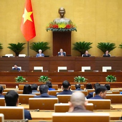 Quốc hội biểu quyết nghị quyết về cơ chế đặc thù phát triển TP HCM