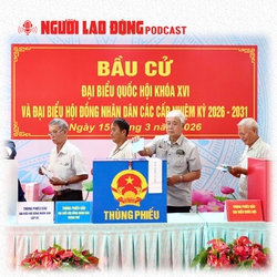 Cử tri cả nước hân hoan đi bầu cử 