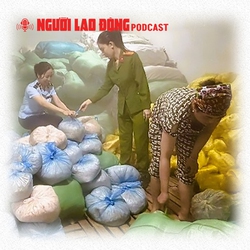 Tạm giữ 14 tấn bì heo không rõ nguồn gốc