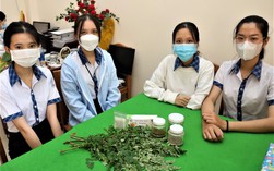 Dùng chùm ngây diệt khuẩn, làm trong nước sông