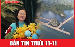 Bản tin trưa 11-11: Giá kèo nhà cái tỷ lệ cá cược trong nước tiếp tục "nhảy múa"