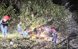 Hiện trường vụ xe khách chở 22 người lao xuống vực trên cao tốc La Sơn - Tuý Loan