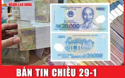 Bản tin chiều 29-1: “Khát” tiền lì xì Tết mệnh giá 20.000 đồng