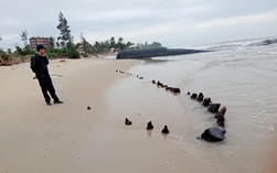 Khai quật khẩn cấp hiện vật nghi "tàu cổ" ở Quảng Nam