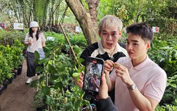 Miu Lê, Long Chun và hàng chục Tiktoker livestream bán hàng tại vựa hoa lớn nhất miền Tây