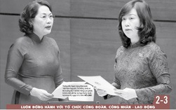 Báo in ngày 12-11:  Vỏ bọc hoàn hảo cùng chiếc "bánh vẽ" của Công ty GFDI
