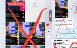 TikToker triệu view Lê Tuấn Khang mất ăn mất ngủ vì hàng loạt tài khoản lừa đảo