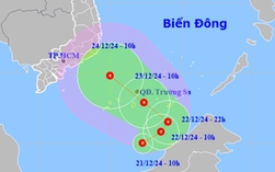 Xuất hiện trên Biển Đông, áp thấp nhiệt đới hướng vào Nam Trung bộ