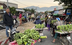 Độc đáo chợ chuối Suối Cát - Cam Lâm