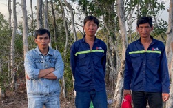 Bắt quả tang 3 đối tượng từ An Giang ra Phú Quốc phá rừng