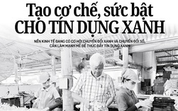 Thông tin đáng chú ý trên báo in Người Lao Động ngày 30-5
