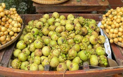 Măng cụt gọt sẵn vẫn đắt đỏ dù món gỏi gà măng cụt hết "hot"