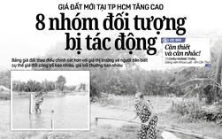 Thông tin đáng chú ý trên báo in Người Lao Động ngày 31-7