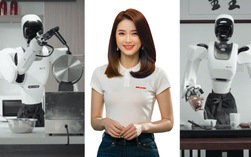 Robot hình người biết pha sữa, ủi đồ, tập Vịnh Xuân quyền...