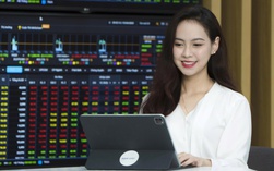 VN-Index vượt đỉnh sau nâng hạng, sao nhiều nhà đầu tư vẫn lỗ?