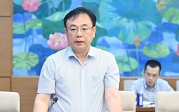 Đại biểu Nguyễn Công Long nêu vụ án "gà lôi trắng" khi thảo luận tại Quốc hội