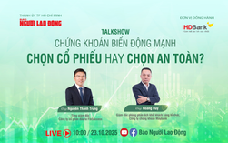 Chứng khoán biến động mạnh: Chọn cổ phiếu hay chọn an toàn?