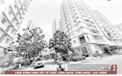 Báo in ngày 25-10: Lấp lánh vẻ đẹp cống hiến