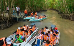 Những trải nghiệm thú vị khi đến Đất Mũi Cà Mau