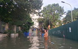 Sở GD-ĐT Hà Nội thông báo hỏa tốc các trường chủ động ứng phó bão Matmo