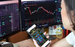 VN-Index gây bất ngờ trước giờ công bố nâng hạng chứng khoán, kịch bản nào cho nhà đầu tư?