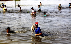 CLIP: Độc đáo cuộc thi bắt vịt đồng mùa nước nổi ở An Giang