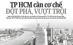 Báo in Người Lao Động 24-11: TP HCM cần cơ chế đột phá, vượt trội
