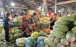 Giá rau, trái cây ở chợ đầu mối bắt đầu rẻ