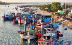 TP HCM góp phần tích cực gỡ "thẻ vàng" IUU