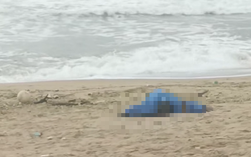 Phát hiện 2 thi thể trôi dạt vào bờ biển TP Đà Nẵng