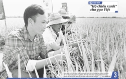 Báo in Người Lao Động 22-12: Thưởng Tết khả quan, an tâm làm việc