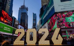 Thích ứng tốt hơn với biến động