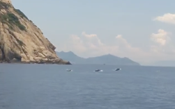 CLIP: Đàn cá heo tung tăng bơi lội giữa vịnh Nha Trang