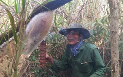 Những đặc sản trứ danh ở Cà Mau khiến du khách khó bỏ qua